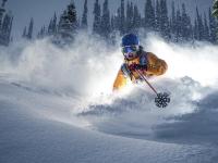 FB体育在线-赛道上的逆袭，哈斯鏖战梅赛德斯，阿隆索关键制胜