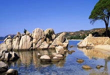 FB体育官网-包含德国队遭遇失利，遗憾无法晋级四强的词条