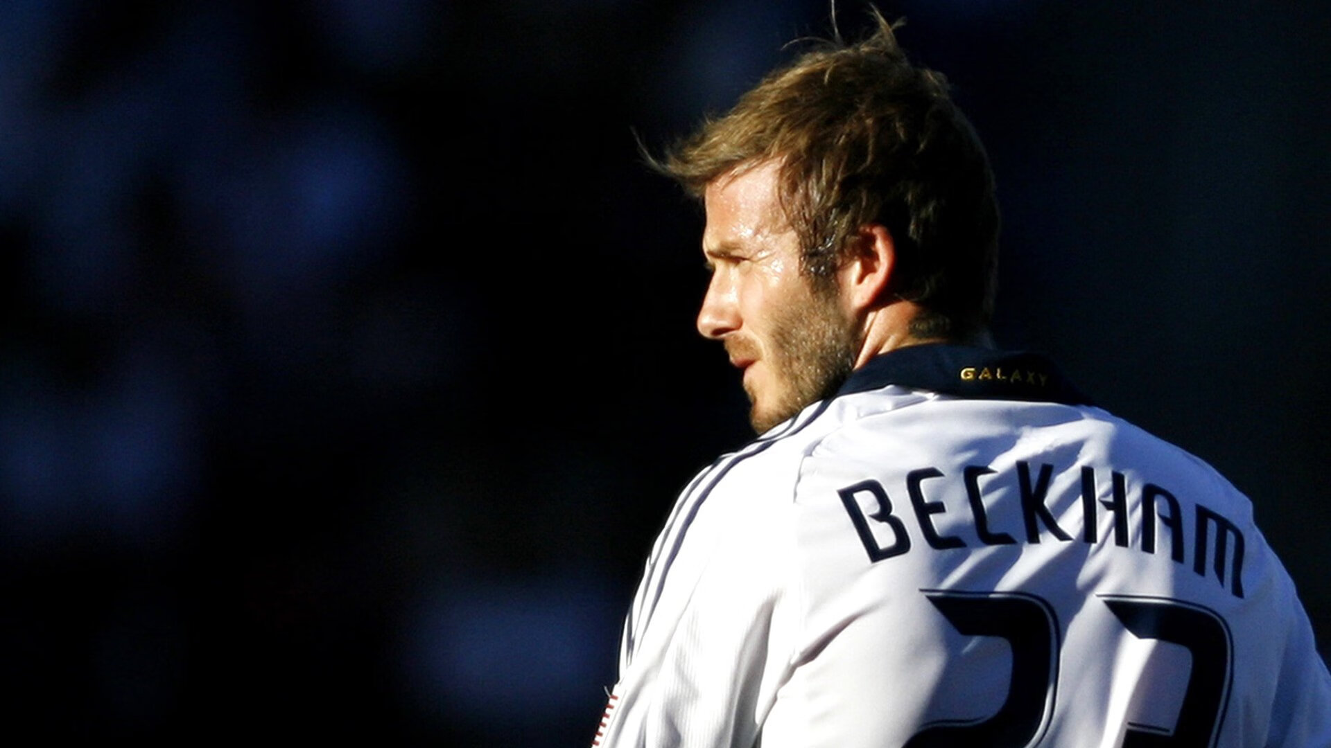 从公牛到绿军,逆转基因与关键先生的传承