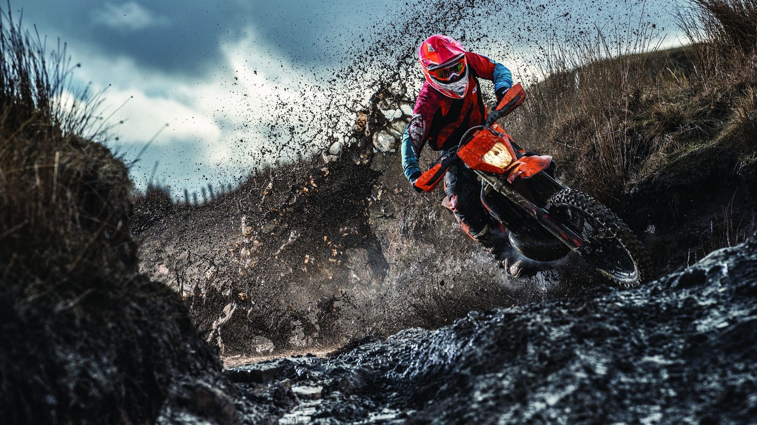 武切维奇独舞黄浦江，上海男篮力克开拓者显峥嵘